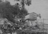 Forgotten archives reveal street-level impact of 1918 Puerto Rico earthquake and tsunami