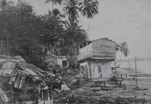 Forgotten archives reveal street-level impact of 1918 Puerto Rico earthquake and tsunami