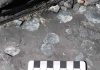 Fossil site shows impact of early Jurassic’s low oxygen oceans