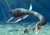 How did plesiosaurs swim with such long necks? Representative Image: Plesiosaur attack, artwork.