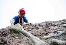 Large dinosaur fossil site found in China