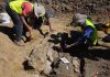 New look at an old dinosaur: the rediscovery of the lost Austrosaurus site
