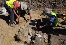 New look at an old dinosaur: the rediscovery of the lost Austrosaurus site