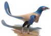 New species of dinosaur named after Canadian icon
