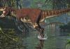 Using step width to compare locomotor biomechanics between dinosaurs and modern bipeds