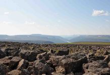 What caused the world’s greatest extinction?