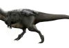Why Tyrannosaurus was a slow runner and why the largest are not always the fastest