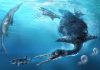 Amateur collectors in Japan discover country’s first and oldest fossil diving bird