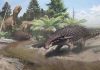 Despite heavy armor, new dinosaur used camouflage to hide from predators