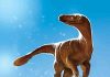 Dino hips discovery unravels species riddle