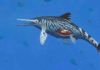 Largest Ichthyosaurus was pregnant mother say Palaeontologists