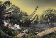 New species of sauropod dinosaur discovered in Tanzania