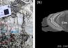 Rare metals in the Himalayas