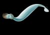Scientists Identify tiny prehistoric sea worm with 50 head spines