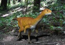 Study identifies dinosaur ‘missing link’