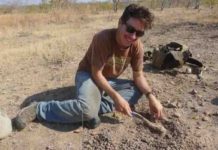 Variation in the recovery of tetrapods after the Permian extinction opened the door for dinosaurs and mammals