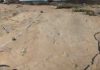 Fossil footprints challenge established theories of human evolution
