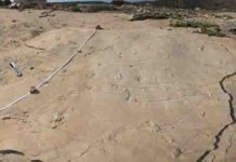 Fossil footprints challenge established theories of human evolution