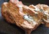 Lumbering giants had agile ancestors “Dinosaur evolution”