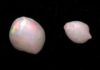 The World’s First Recorded Opalised Pearls Discovered
