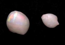 The World’s First Recorded Opalised Pearls Discovered