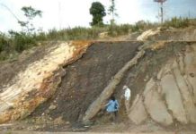 Tidal and mangrove deposits during the Oligo-Miocene in the South China Sea