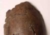 6,000-year-old skull could be from the world’s earliest known tsunami victim This is the cranium of a person who lived in what's now Papua New Guinea, 6,000 years ago.