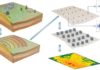 Assessing regional earthquake risk and hazards in the age of exascale