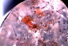 Diamonds deliver insights into the chemistry of the deep Earth’s interior Inclusion within a diamond