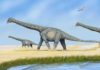 Dinosaur dung fertilizes planet, New Research