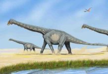 Dinosaur dung fertilizes planet, New Research