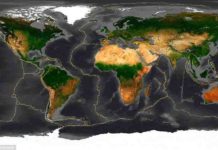 Earth’s tectonic plates are weaker than once thought Plate tectonics
