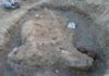 First Jurassic ichthyosaur fossil found in India Articulated skeleton of Ophthalmosaurid ichthyosaur at the excavation site south of Lodai village