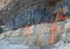 Formation of coal almost turned our planet into a snowball
