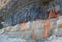 Formation of coal almost turned our planet into a snowball