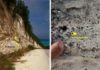Geologic evidence is the forerunner of ominous prospects for a warming Earth