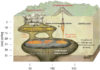 Magma chambers have a sponge-like structure Magma chambers