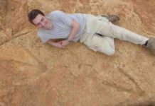 ‘Mega-carnivore’ dinosaur roamed southern Africa 200 million years ago New exceptionally large carnivorous dinosaur footprints found in Lesotho.
