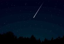 More than a meteorite: New clues about the demise of dinosaurs Meteorites