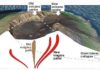 New magma pathways after giant lateral volcano collapses Giant lateral volcano collapses affects the deep paths of magma.