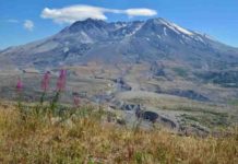 New study analyzes volcanic fatalities in more detail than ever before