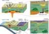 Plume-subduction interaction forms large auriferous provinces Lithospheric-scale processes involved in the precursor stage of formation of the Deseado Massif auriferous province.