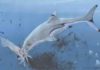 Prehistoric squid was last meal of newborn ichthyosaur 200 million years ago