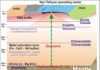 Study sheds new light on earth’s evolution