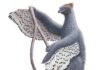 Feathered dinosaurs were even fluffier than we thought Depiction of Anchiornis and its contour feather.