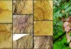 First Recorded Fossil of Dipteronia in East Asia Reported from Yunnan Fossil of Dipteronia brownii and extant Dipteronia browni