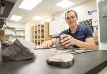 Geologists uncover Antarctica’s fossil forests examines some of the fossilized polar trees
