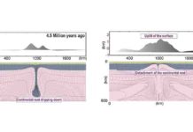 Geophysicists uncover new evidence for an alternative style of plate tectonics Time slices of the computational geodynamic model showing dripping continental root and eventual surface uplift over a 4.5 million year period across Turkey's Central Anatolian Plateau