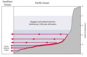 This is a schematic illustration of water currents.