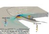 Largest, longest multiphysics earthquake simulation created to date largest multiphysics simulation of an earthquake and tsunami